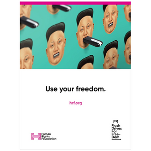 Use Your Freedom Poster